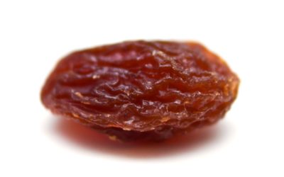 I listened to a raisin