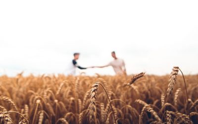 Faith Sharer: Carry On