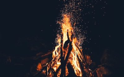Tend Your Fire