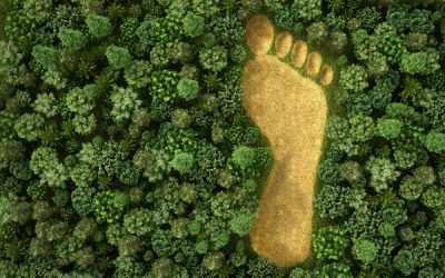 Twelve Steps towards Freedom – Addicted