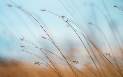 Holy Spirit, come like a rushing wind