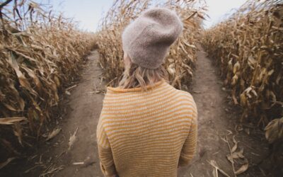 Discernment: Interruptions on the road to Troas