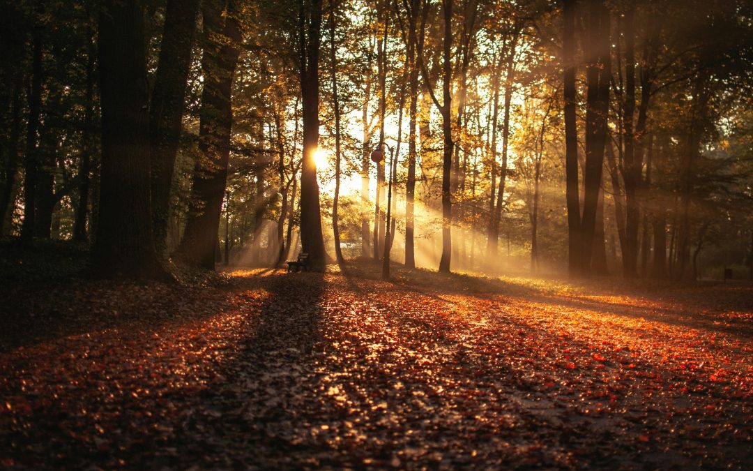 Preparing for Revival (5) – Authentic Social and Cultural Engagement